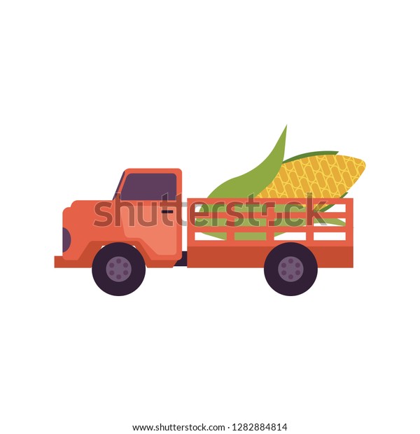 Flat farmer truck pickup delivering harvest\
food - huge corn vegetable in body. Farming transportation and\
organic food. isolated\
illustration