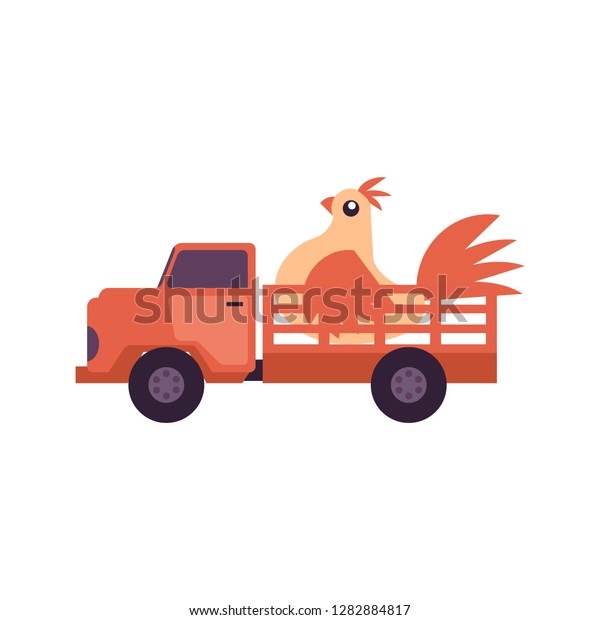 Flat farmer truck pickup delivering\
livestock animals - chicken in body. Farming transportation and\
organic food. isolated\
illustration