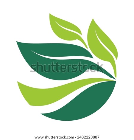 Flat Green Leaf Logo Vector