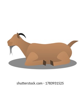 flat illustration design goats sit  farm animals  grass eaters  herbivorous animals