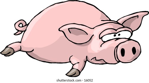 Flat Pig I