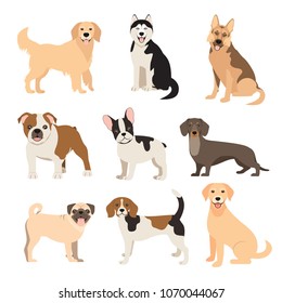 Flat style dogs collection. Cartoon dogs breeds set. Illustration isolated