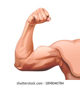 Flexing Bicep Muscles, Arm, Shoulder, Fist. 