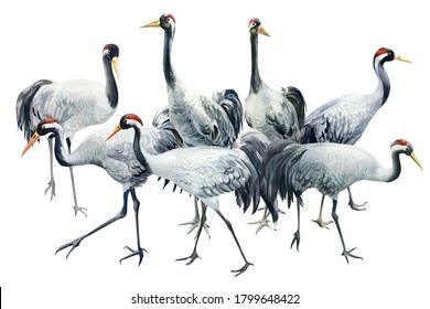 19,013 Flying bird painting Images, Stock Photos & Vectors | Shutterstock