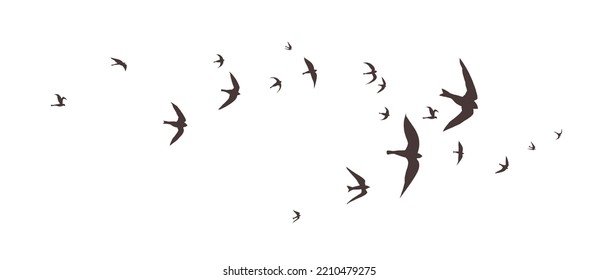 Flock Of Birds Flying In The Sky, Bird Png, Animal Or Nature Illustration Of Black Outlines Or Silhouettes Of Group Of Birds In Flight Pattern, Wildlife Drawing Or Sketch