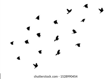 鳥 飛び立つ のイラスト素材 画像 ベクター画像 Shutterstock