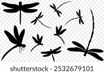 A flock of dragonflies flying. A group of dragonflies. Dragonfly silhouette.