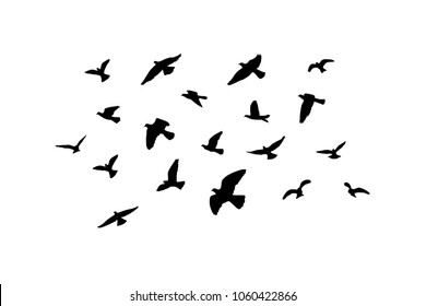 28,219 Bird With Flapping Wings Images, Stock Photos & Vectors 