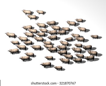 Flock Of Sheep