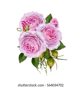 Floral background. Isolated on white background. Bouquet of tender pink roses. Flower composition.