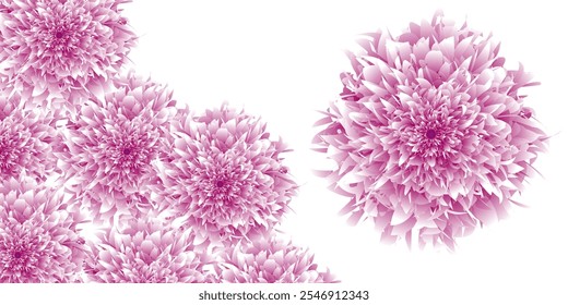 Floral border with copy space. autumn chrysanthemum flowers close-up on a white background. flower on soft pastel color. Bougainvillea flower frame on white background. yellow dandelion. vintage, pink - Powered by Shutterstock