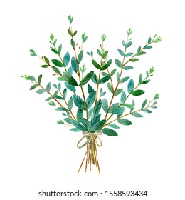 Floral bouquet of eucalyptus branches. Watercolor hand drawn illustration.It can be used for greeting cards, posters, wedding cards.White background.	
