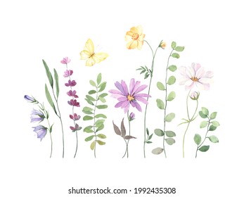 Floral card with colorful flowers cosmos, coreopsis, lavender, bells, green plants and flying yellow butterfly. Watercolor set wildflowers isolated on white background, summer border for your design.