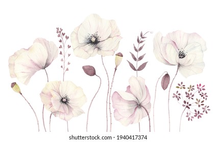 Floral card with delicate poppies, watercolor isolated illustration flowers and branches, border, banner, template for invitation or greeting card.