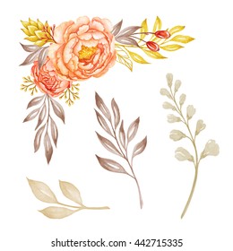 floral corner, design elements, coral and peach peony flowers and gold leaves, watercolor illustration, isolated on white background