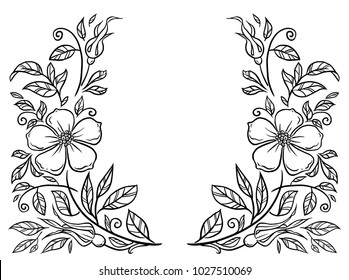 Flower Border Designs Black And White - Floral Border Design Black And