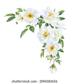 Floral Corner Of The White Wild Roses, Buds And Leaves Hand Drawn In Watercolor Isolated On A White Background. Botanical Illustration.