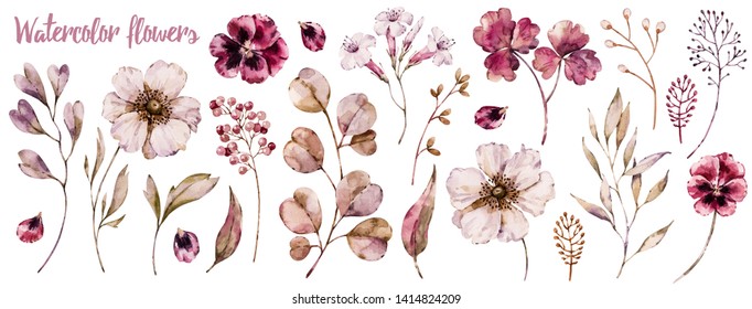 Floral Elements Collection, Watercolor Flower Set. Botanical Template Isolated On White, Handpainted Aquarelle Wildflower Compilation