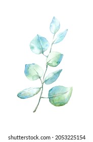 Floral eucalyptus branches.Frame of a herbs.Watercolor hand drawn illustration.It can be used for greeting cards, posters, wedding cards.	
