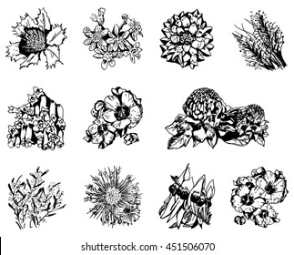 Floral group of small pen line drawings, separate isolated. Twelve images on a page. Suit coloring book. Australian wildflowers. Sturt's Desert Pea, grevillea, Desert Rose, Wattle, Groundsel, Fuchsia.