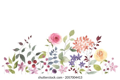 Floral horizontal border with flowers, berries and green leaves, watercolor print isolated on white background for invitation or greeting cards, border, banner or cover for your text, garden design.