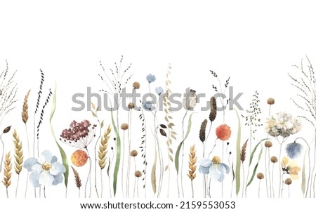 Floral horizontal seamless border with delicate blue flowers, abstract plants and grasses. Watercolor print illustration isolated on white background for nature cover, wallpapers or floral pattern. Foto stock © 