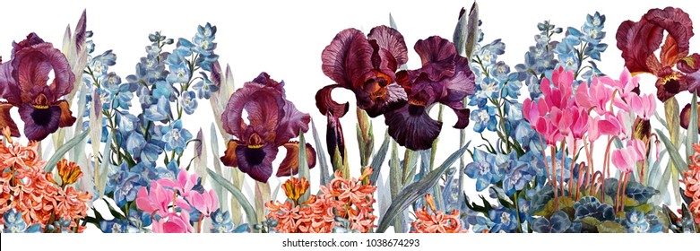 Floral horizontal seamless border.Irises, cyclamen, delphiniums, hyacinths on a white background.Watercolor painting. Botanical illustration. 