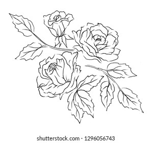 Floral Illustration Flowers Black Line Art Stock Illustration 1296056743