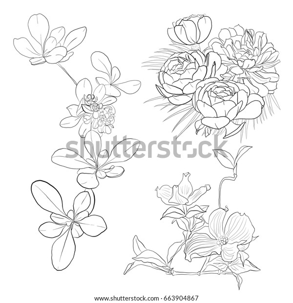 Floral Leaves Blooms Illustration Hand Drawing Stock Illustration ...