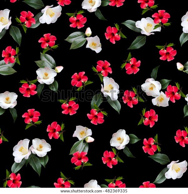 花柄の赤い花 黒い背景に白い花 花柄の新しいアイデア フォトコラージュ 赤花と白花の写真 のイラスト素材