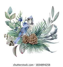 Floral Rustic Winter Arrangement Watercolor Illustration. Hand Drawn Natural Decor With Blue Jay Bird, Pine, Juniper, Eucalyptus Leaves. Christmas Season Decoration Isolated On White Background.