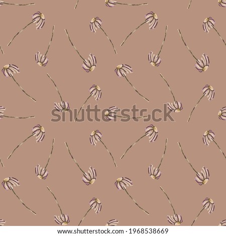 Floral seamless pattern. Chamomiles on broun background. Hand drawn