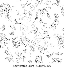 Floral seamless pattern 