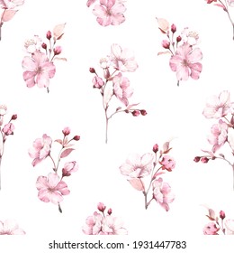 Free Hand Sakura Flower Vector Set Stock Vector (Royalty Free ...