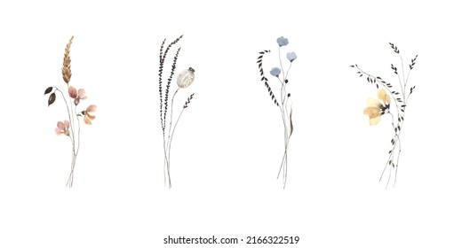 Floral set of design elements with abstract delicate wildflowers and plants, watercolor illustration isolated on white background for invitation or greeting cards.