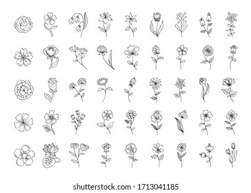 floral set, outline black flowers, simple line art floral collection, line-art different flowers, roses, herbal, lily, for your design isolated on white background