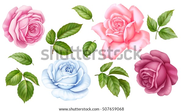 白い背景にピンク 赤 青の白いビンテージバラの花の緑の葉 デジタル水彩イラスト のイラスト素材