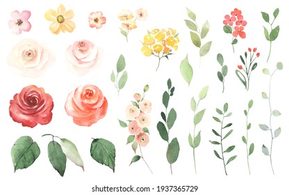Floral set with simple roses, small colorful flowers, green leaves and branches. Watercolor collection design elements isolated on white background for invitation, greeting cards, date, decorations.
