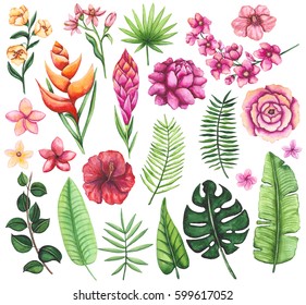 Floral Set Of Watercolor Tropical Vivid Flowers And Palm Leaves