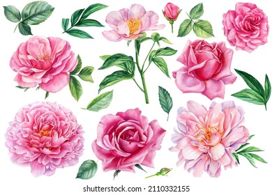 Floral Summer Set With Leaves And Flowers Isolated On White Background. Watercolor Botanical Painting Peony, Rose