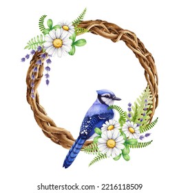 Floral Vine Wreath With Garden Flower And Blue Jay Bird. Watercolor Illustration. Hand Drawn Vintage Style Decor Element. Twisted Vine Rustic Style Wreath With Daisy , Lavender Flowers, Fern, Bird