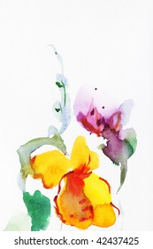 floral watercolor  illustration