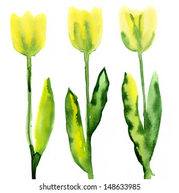 Floral watercolor paintings with tulips