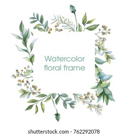 Floral Wreath. Botanical Illustrations. Watercolor Frame.