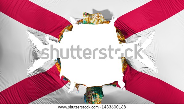 Florida state flag with a big hole, white
background, 3d
rendering