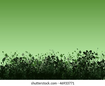 florist background