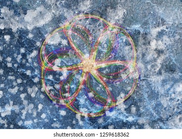 flower abstract line composition background, multicolored floral tetxture backdrop