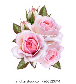 3,968,551 Beauty rose Images, Stock Photos & Vectors | Shutterstock