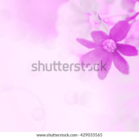royalty free stock illustration of flower background layout design flower layout design