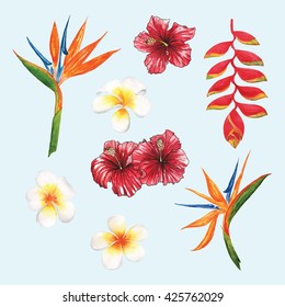 32,552 Bird paradise flower watercolor Images, Stock Photos & Vectors ...